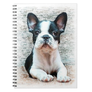 Cuaderno bloc de notas en espiral de Bulldog francés