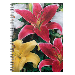 Cuaderno Bloc de notas en espiral de flores coloridas