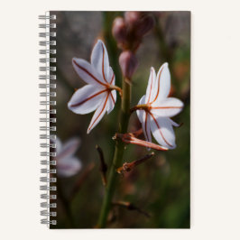 Cuaderno Bloc de notas en espiral de flores gemelas