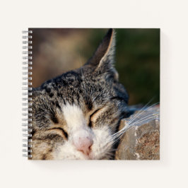 Cuaderno Bloc de notas en espiral de gato con sueño