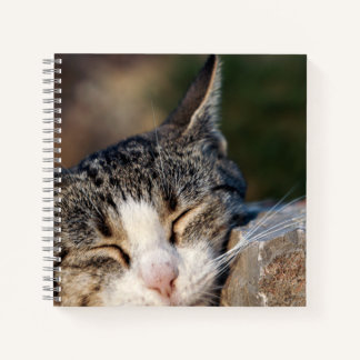 Cuaderno Bloc de notas en espiral de gato con sueño