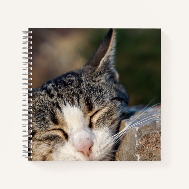 Cuaderno Bloc de notas en espiral de gato con sueño (Anverso)