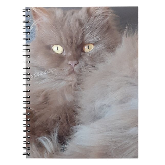 Cuaderno Bloc de notas en espiral de gato cuerdo (Frente)