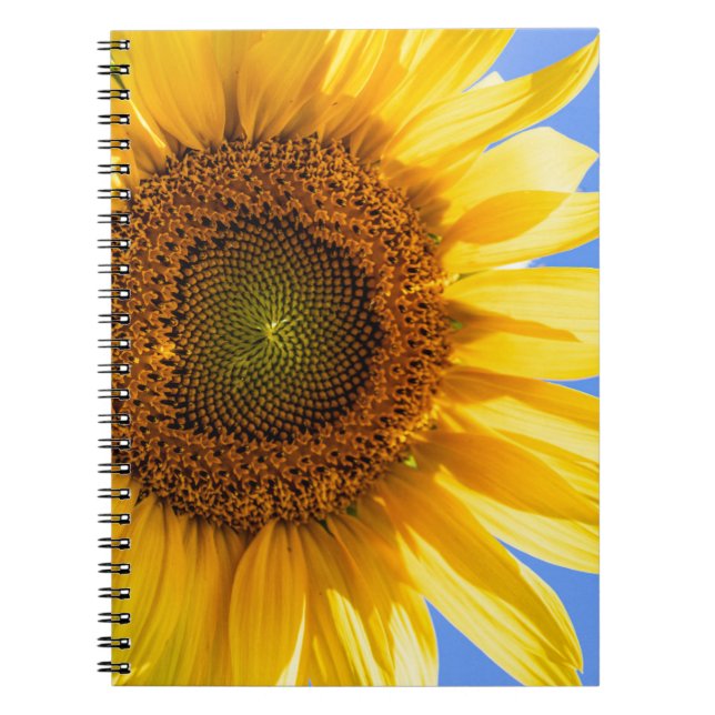 Cuaderno Bloc de notas en espiral de girasol (Frente)
