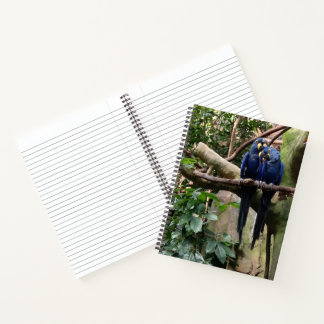 Cuaderno Bloc de notas en espiral de loro de Macaw