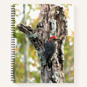 Cuaderno Bloc de notas en espiral de pájaro carpintero rojo