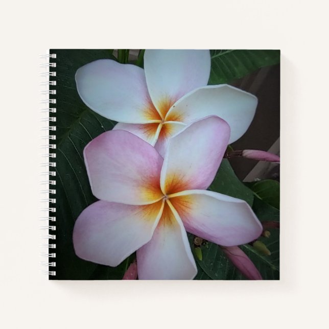 Cuaderno Bloc de notas en espiral de plumeria rosa (Anverso)