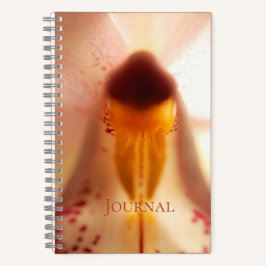 Cuaderno Bloc de notas en espiral de "rendirse"