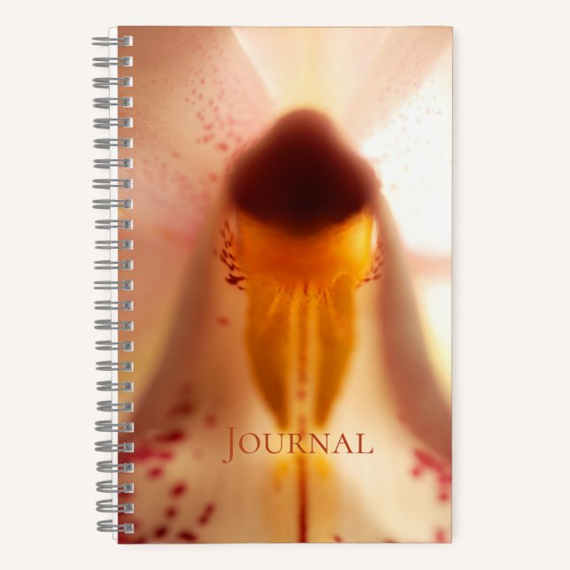 Cuaderno Bloc de notas en espiral de "rendirse" (Anverso)