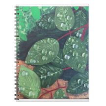 Bloc de notas en espiral "gotas de lluvia"