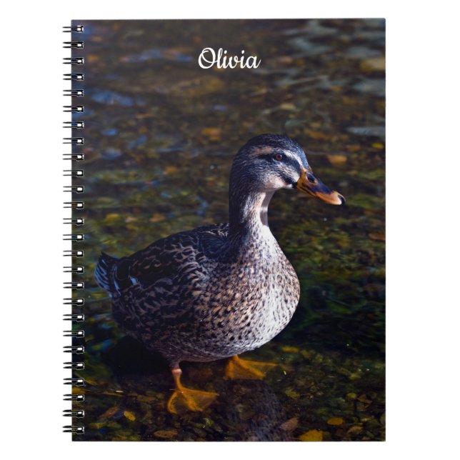Cuaderno bloc de notas en espiral Mallard Duck (Frente)