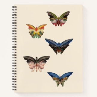 Cuaderno Bloc de notas en espiral, mariposas de Albert Bier