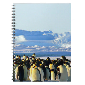 Cuaderno bloc de notas en espiral pingüino