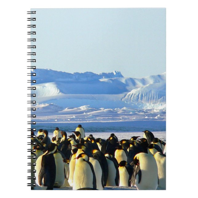 Cuaderno bloc de notas en espiral pingüino (Frente)