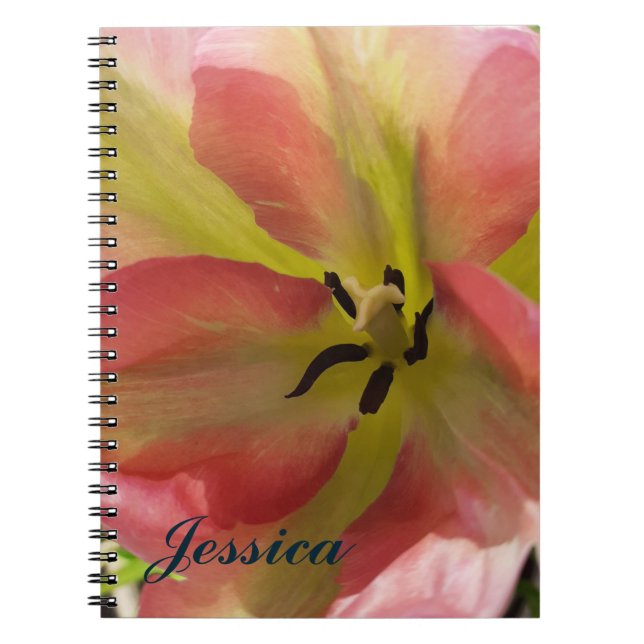 Cuaderno Bloc de notas en espiral tulipán rosa y amarillo (Frente)