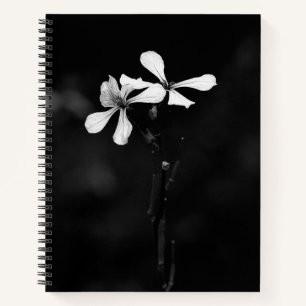 Cuaderno Bloc de notas espiral