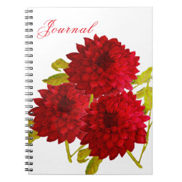Cuaderno Bloc de notas espiral
