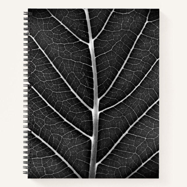 Cuaderno Bloc de notas espiral (Anverso)