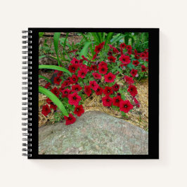 Cuaderno Bloc de notas espiral