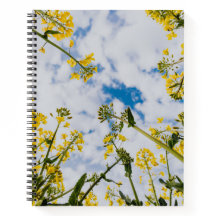 Bloc de notas espiral