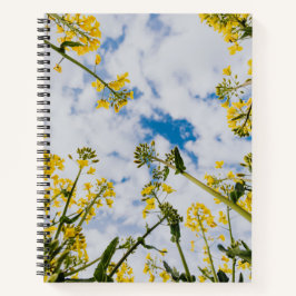 Cuaderno Bloc de notas espiral