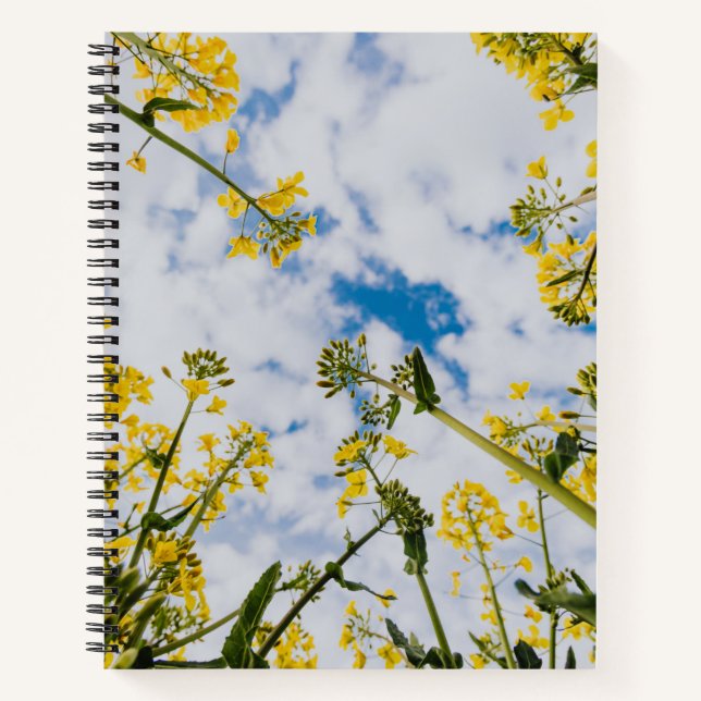 Cuaderno Bloc de notas espiral (Anverso)