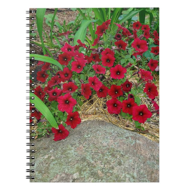 Cuaderno Bloc de notas espiral (Frente)