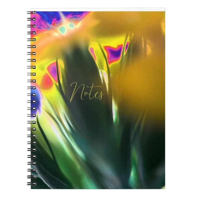 Cuaderno Bloc de notas espiral (Frente)