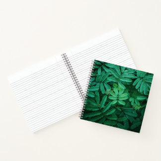 Cuaderno Bloc de notas espiral