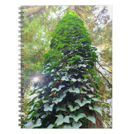 Cuaderno Bloc de notas espiral