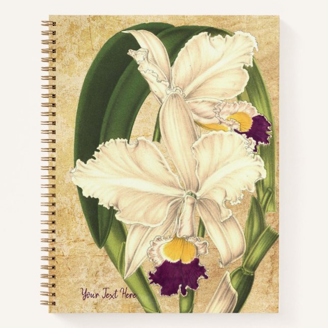 Cuaderno Bloc de notas espirales de Cattleya cuadricolor (Anverso)