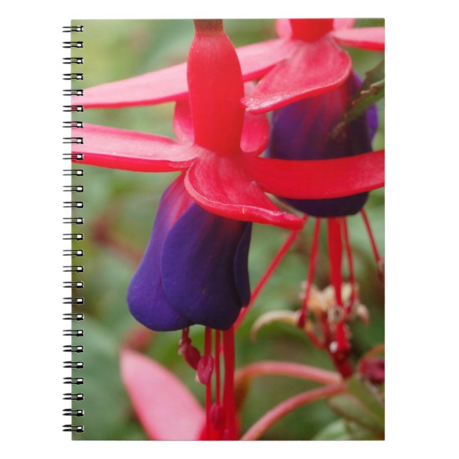 Cuaderno Bloc de notas fotográficas de flores moradas rosad (Frente)