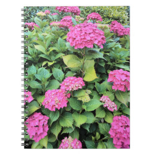 Cuaderno Bloc de notas fotográficas de flores rosadas