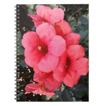 Bloc de notas fotográficas de flores rosadas
