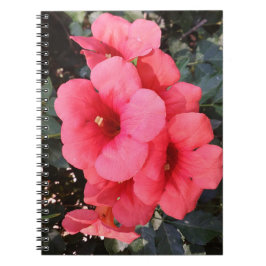 Cuaderno Bloc de notas fotográficas de flores rosadas