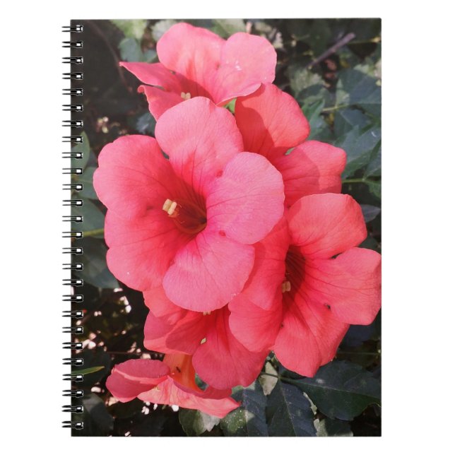 Cuaderno Bloc de notas fotográficas de flores rosadas (Frente)