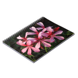 Cuaderno Bloc de notas fotográficas de flores rosas (80 pág