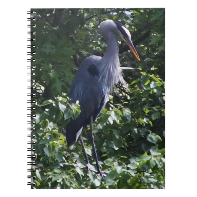 Cuaderno Bloc de notas Great Blue Heron (Frente)