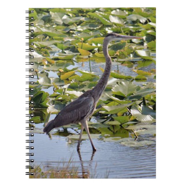 Cuaderno Bloc de notas Great Blue Heron (Frente)