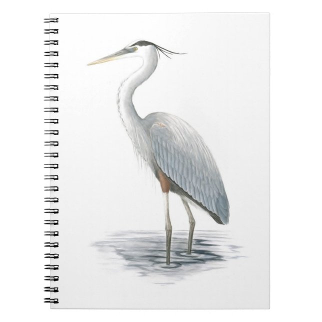 Cuaderno Bloc de notas Great Blue Heron (Frente)