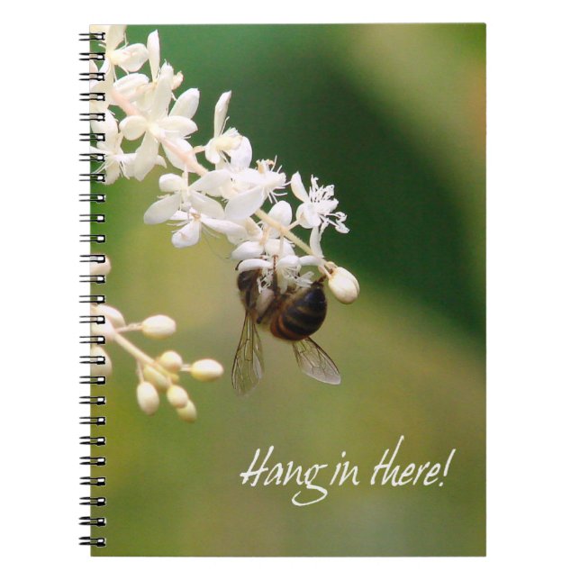 Cuaderno Bloc de notas "Hang in There" (Frente)