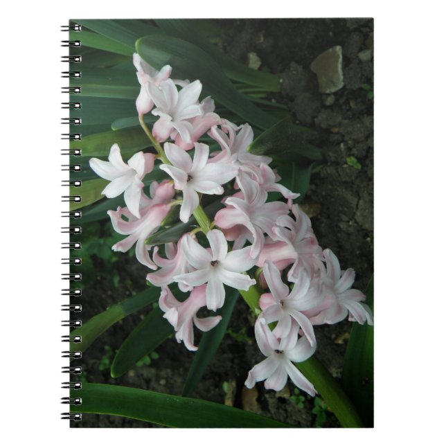 Cuaderno Bloc de notas Hyacinths (Frente)