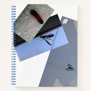 Cuaderno Bloc de notas/INSECTS/MMETROPOLIM
