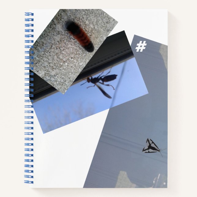 Cuaderno Bloc de notas/INSECTS/MMETROPOLIM (Anverso)