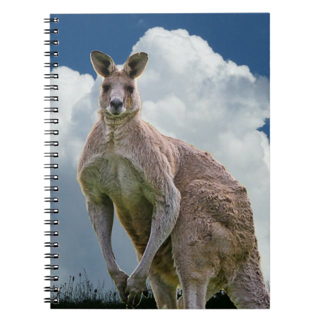 Cuaderno Bloc de notas Kangaroo (Frente)