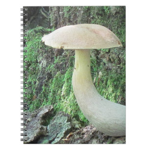 Cuaderno Bloc de notas King Mushroom