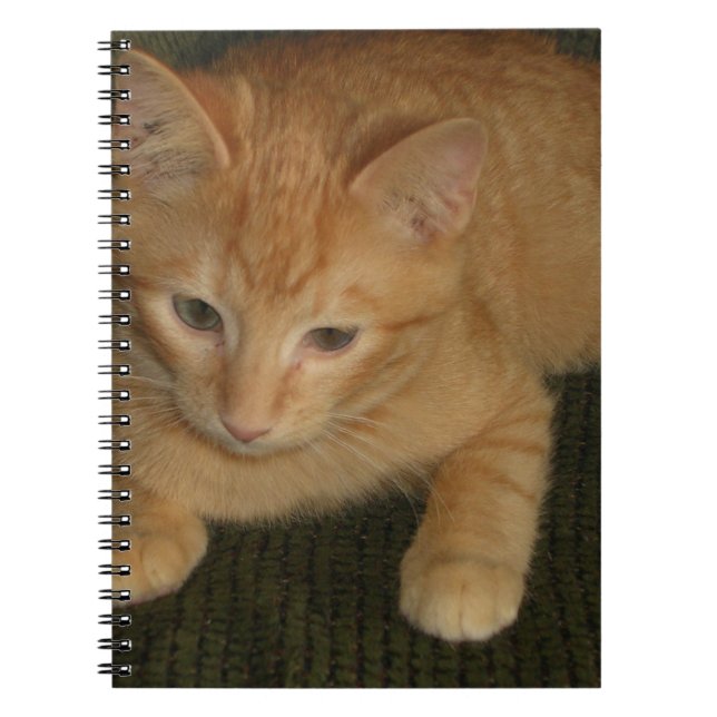 Cuaderno Bloc de notas Kitty (Frente)