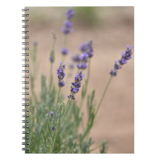 Cuaderno Bloc de notas Lavendar/Journal