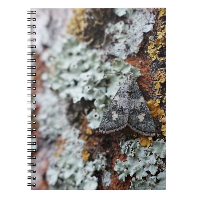 Cuaderno Bloc de notas Lichen Moth camuflado (Frente)