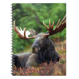 Cuaderno Bloc de notas Moose